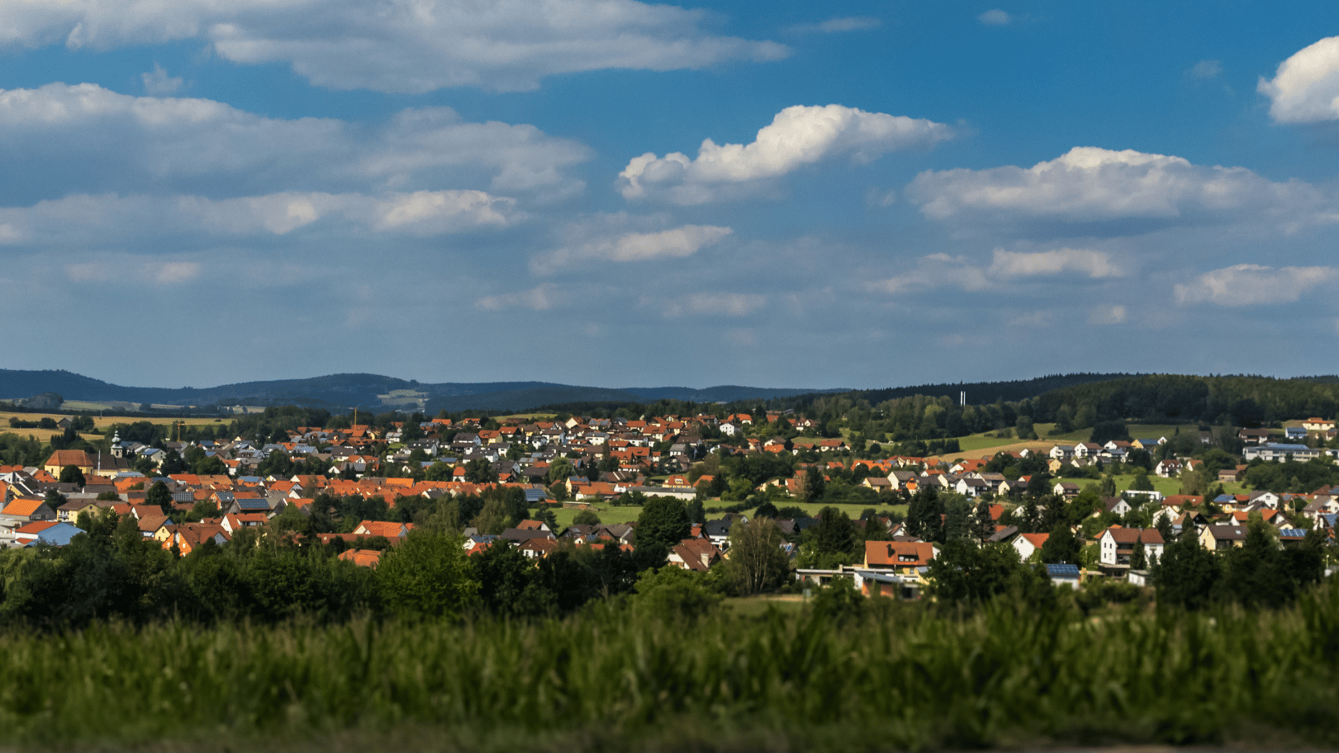 Fenster und Haustüren kaufen in Oberviechtach und Umgebung.